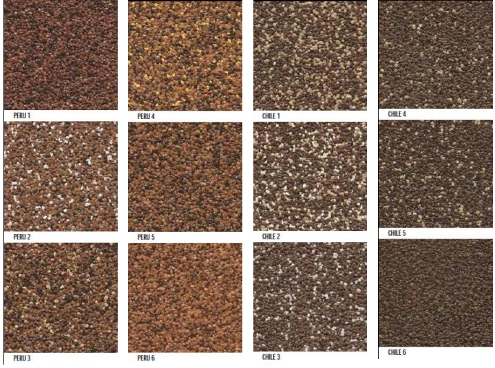 Tynk mozaikowy CERESIT CT177 10kg 1,5mm