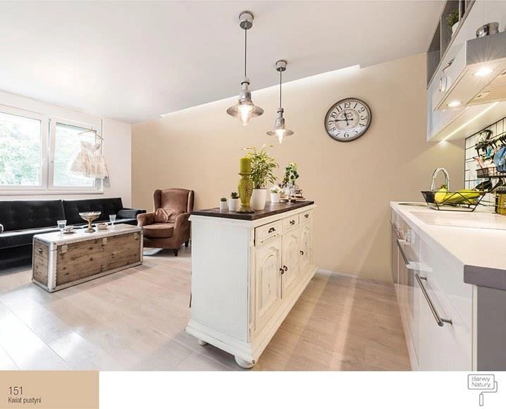 Farba do ścian lateksowa ŚNIEŻKA Barwy Natury kwiat pustyni 151 mat 5l