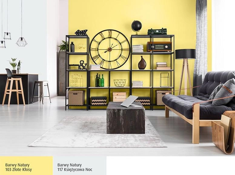 Farba do ścian lateksowa ŚNIEŻKA Barwy Natury księżycowa noc 117 mat 5l