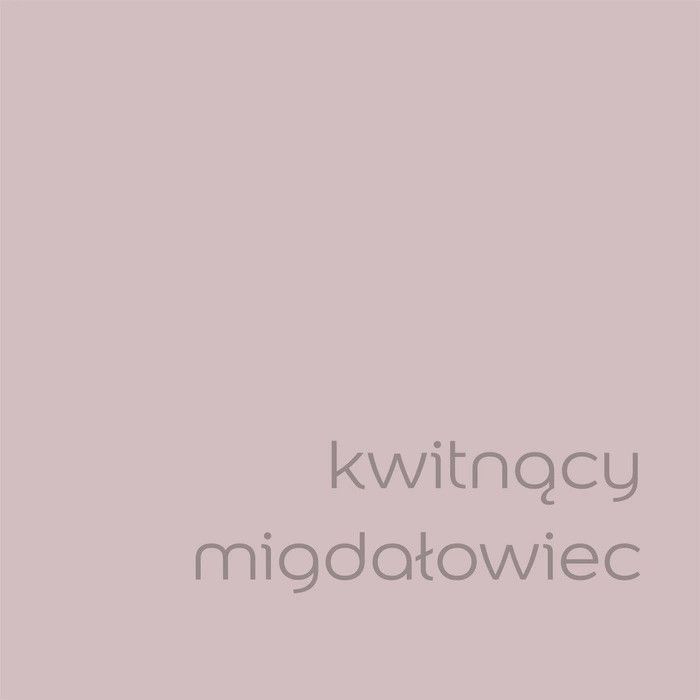 Farba do ścian i sufitów lateksowa Dulux Kolory Świata Kwitnący Migdałowiec mat 5L