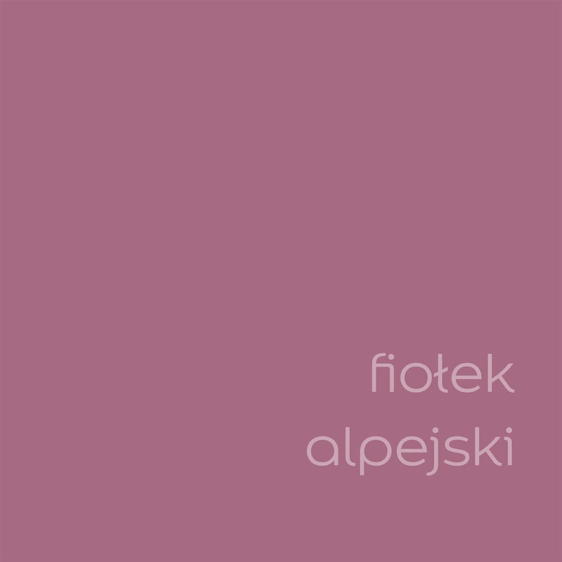 Farba do ścian i sufitów lateksowa Dulux Kolory Świata Fiołek Alpejski mat 2,5L