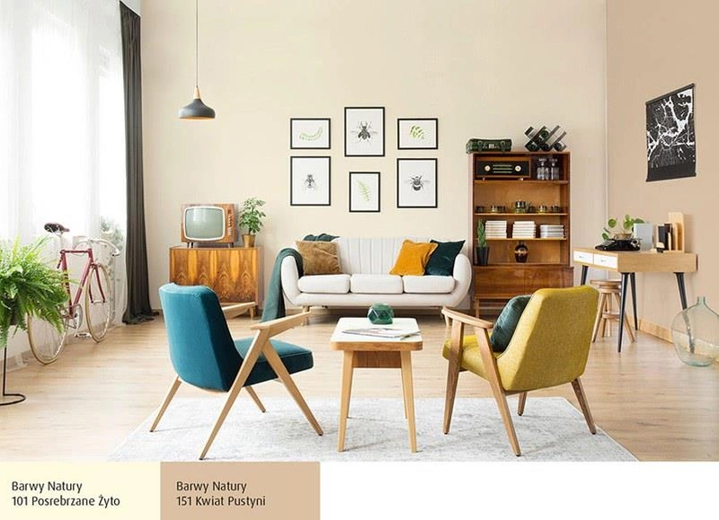 Farba do ścian lateksowa ŚNIEŻKA Barwy Natury kwiat pustyni 151 mat 5l